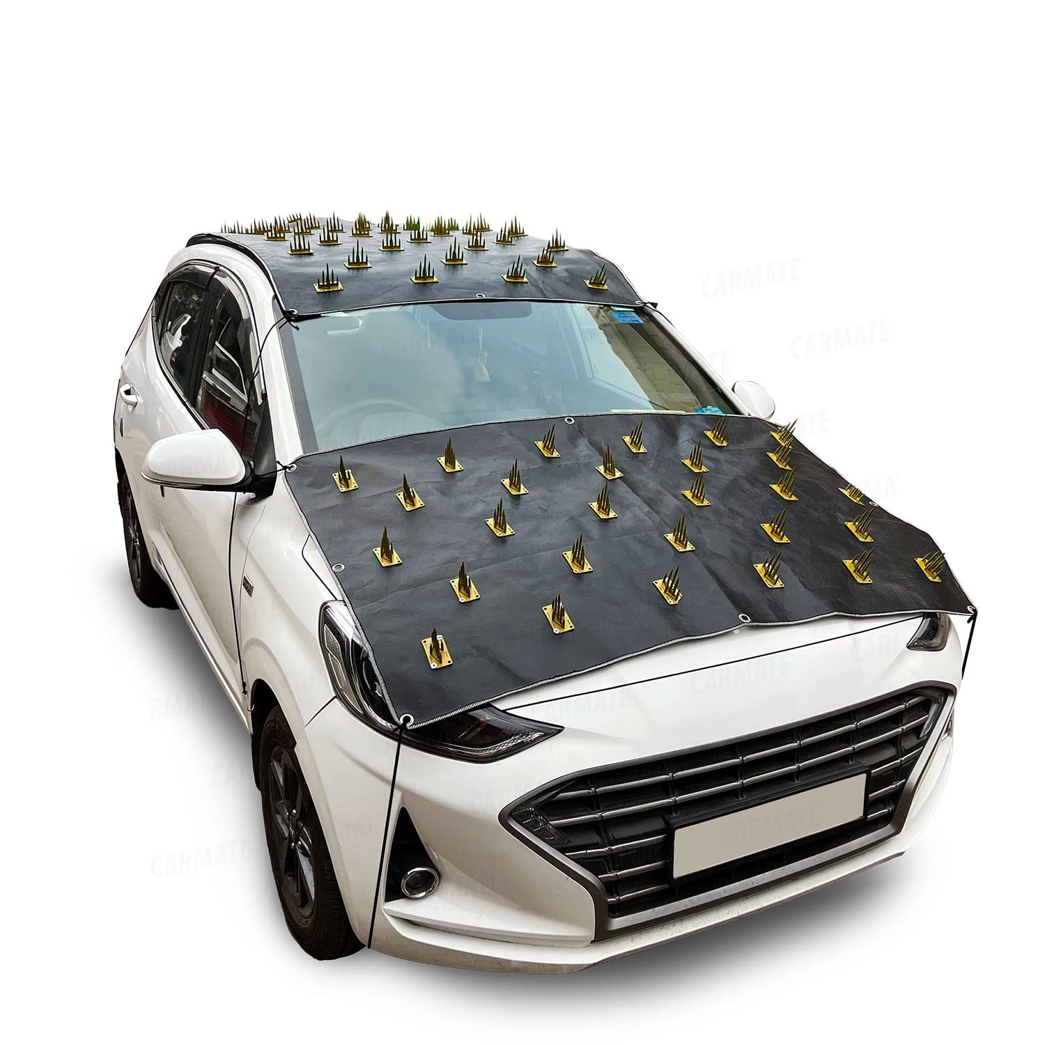 Car Protection Cover from Monkey and Dog for All Car